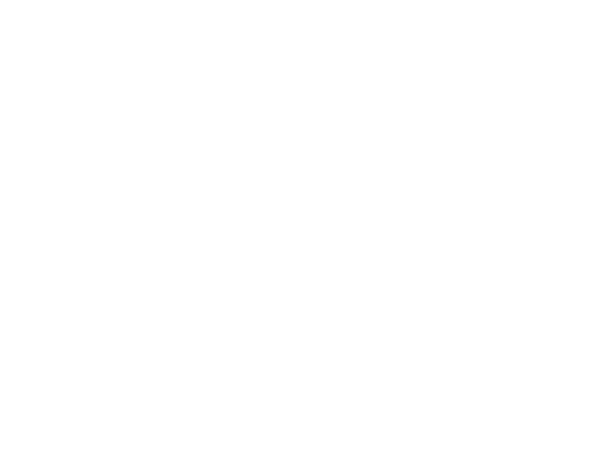 ZooLights at GVZoo